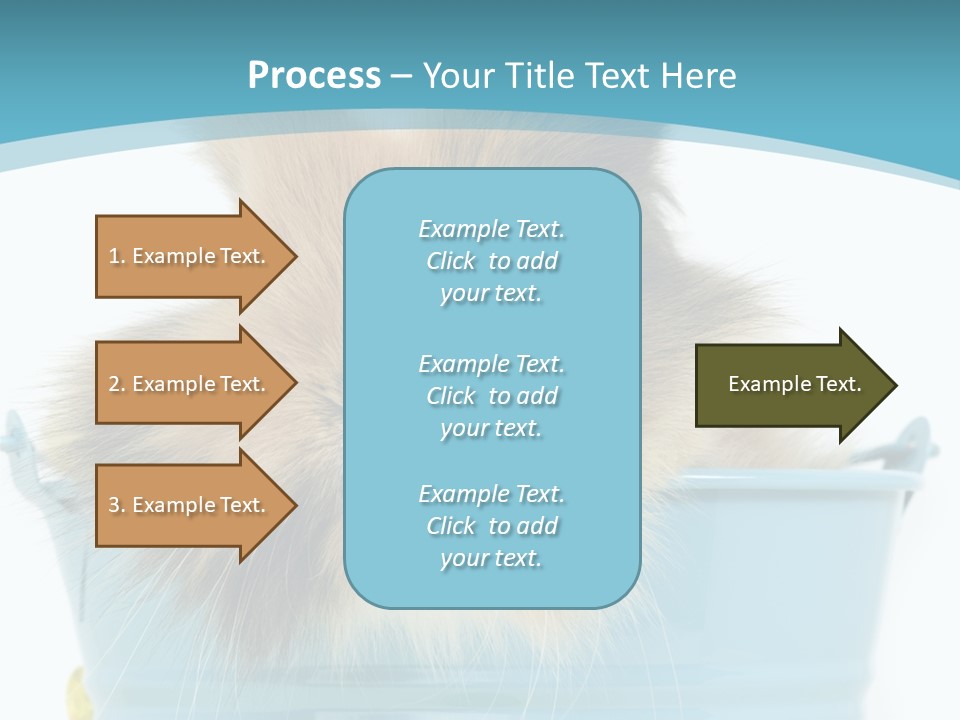 Flauschig Nagetier Ohren PowerPoint Template