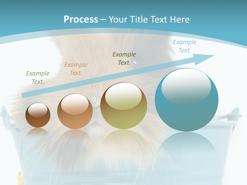 Flauschig Nagetier Ohren PowerPoint Template