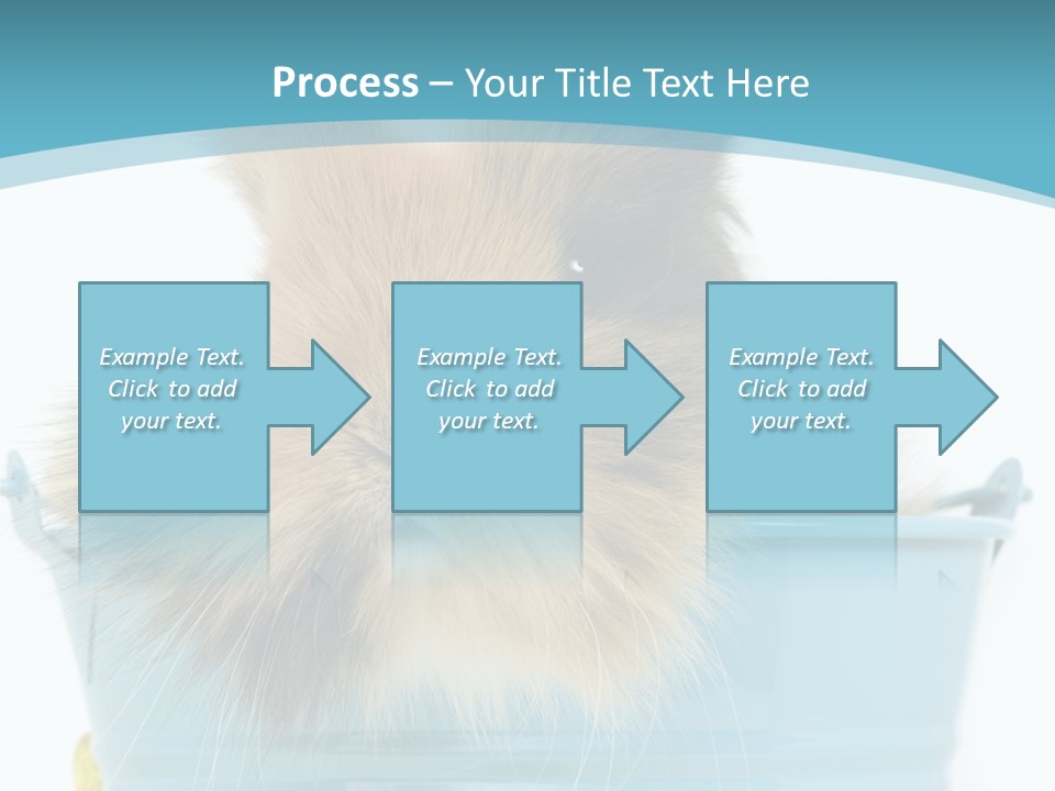 Flauschig Nagetier Ohren PowerPoint Template