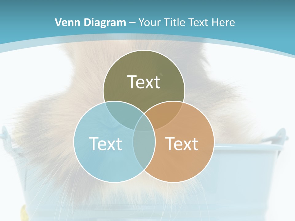 Flauschig Nagetier Ohren PowerPoint Template