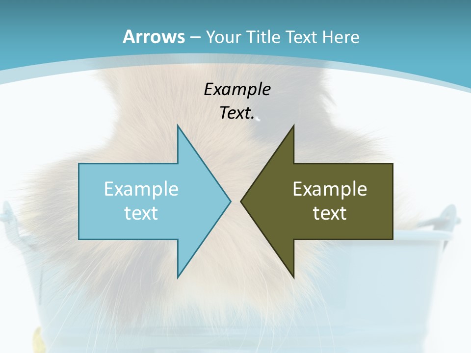 Flauschig Nagetier Ohren PowerPoint Template