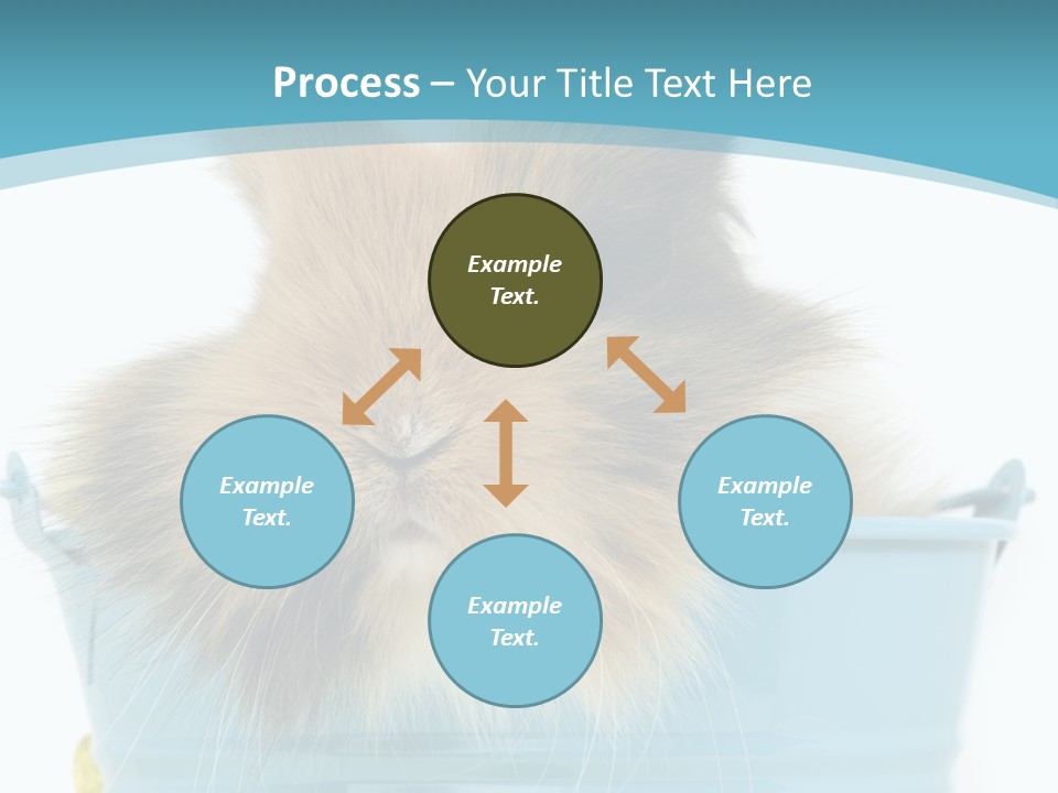 Flauschig Nagetier Ohren PowerPoint Template