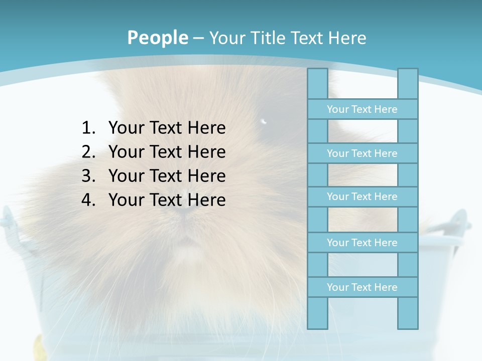 Flauschig Nagetier Ohren PowerPoint Template
