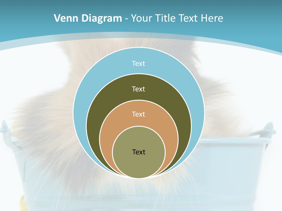 Flauschig Nagetier Ohren PowerPoint Template