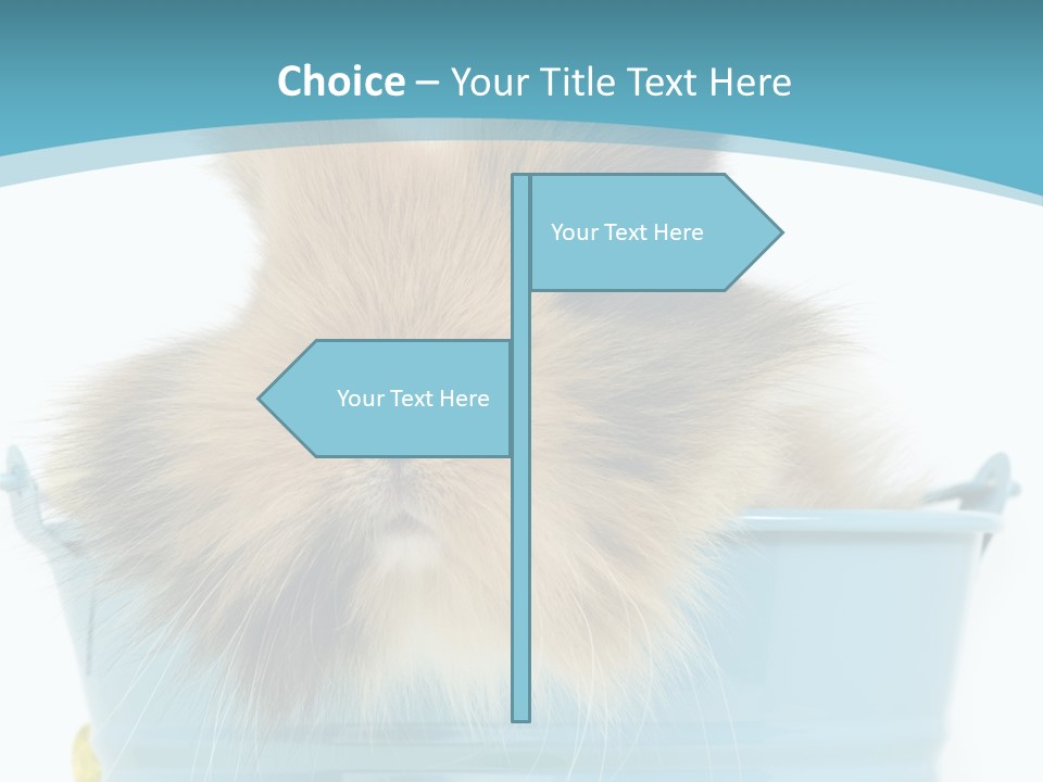 Flauschig Nagetier Ohren PowerPoint Template