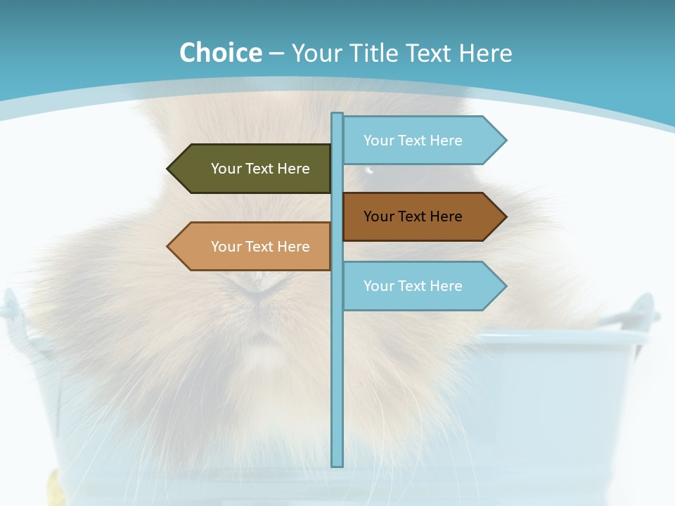 Flauschig Nagetier Ohren PowerPoint Template