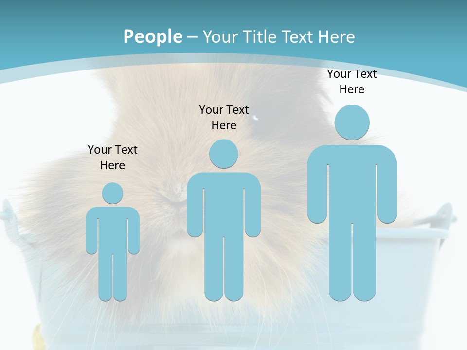 Flauschig Nagetier Ohren PowerPoint Template