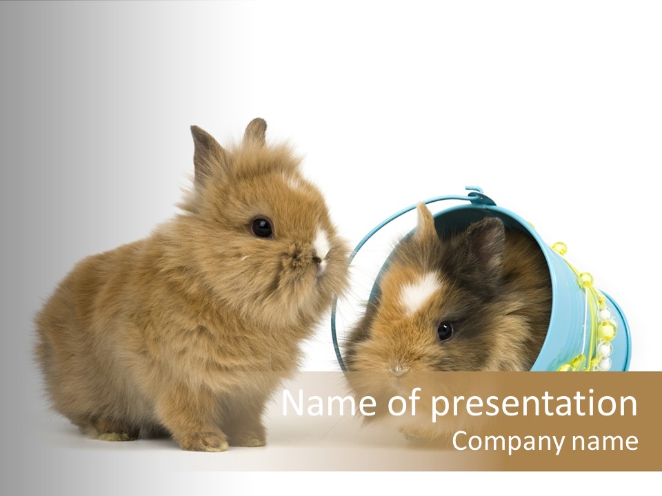 Deko Weich Osterhase PowerPoint Template