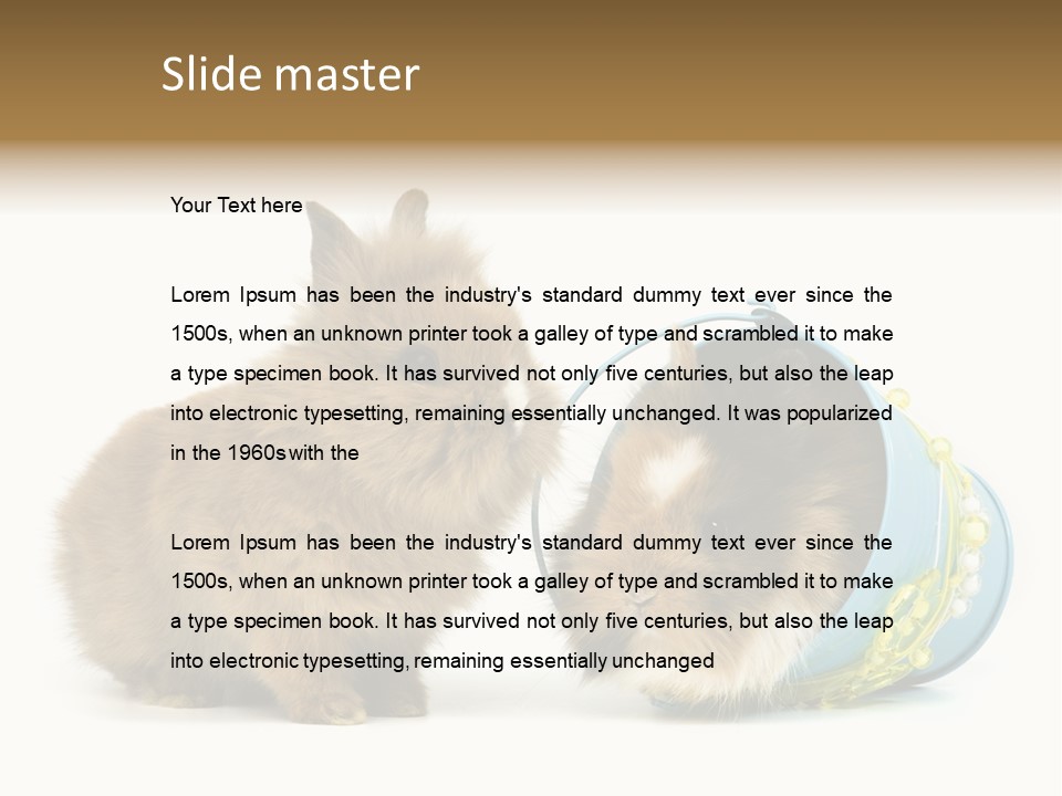 Deko Weich Osterhase PowerPoint Template