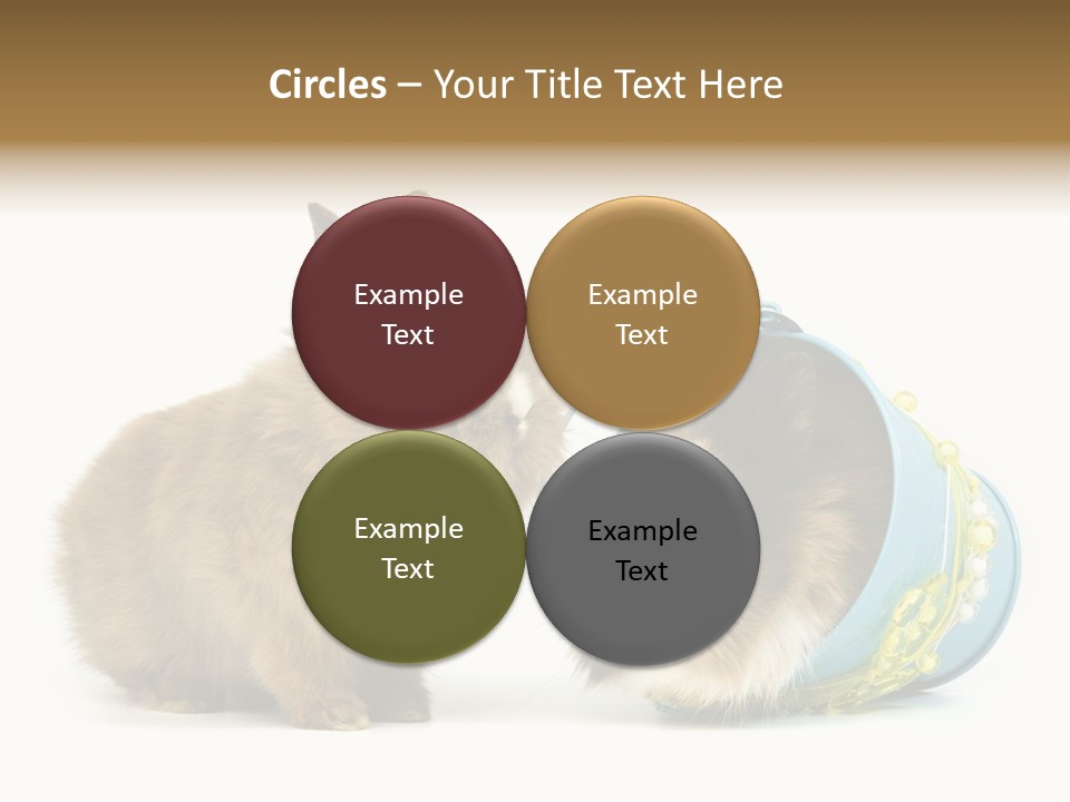 Deko Weich Osterhase PowerPoint Template