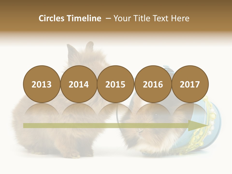 Deko Weich Osterhase PowerPoint Template