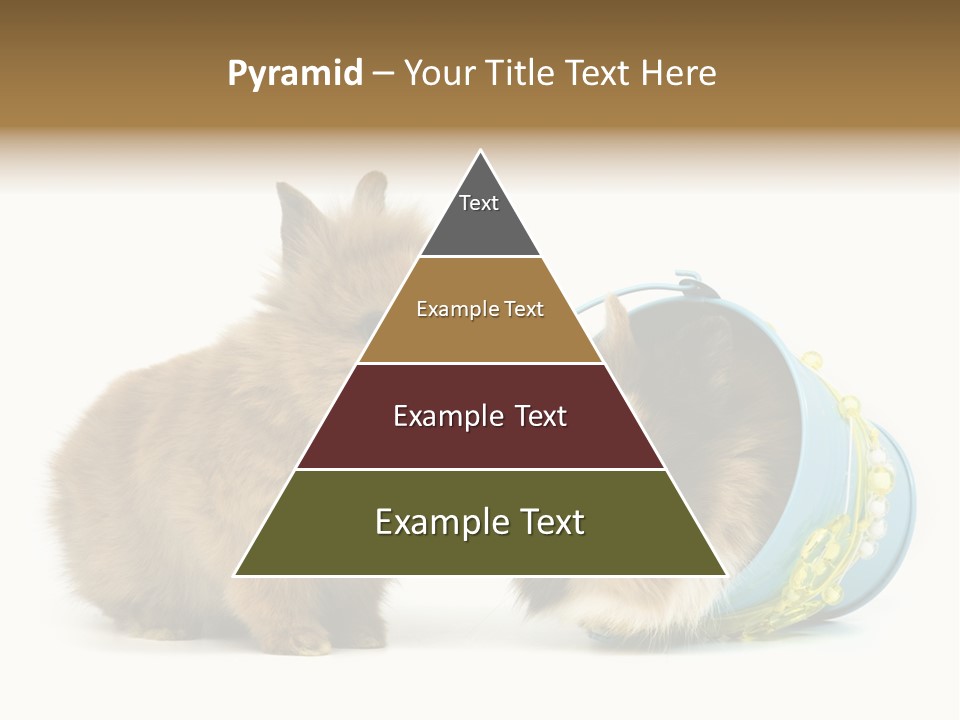 Deko Weich Osterhase PowerPoint Template