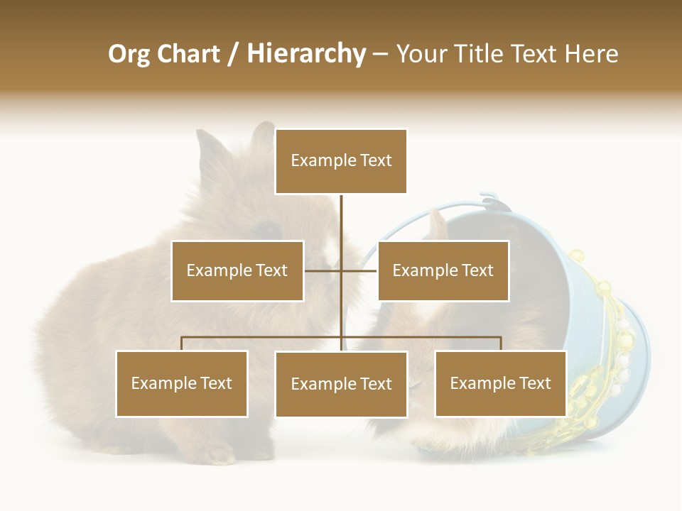 Deko Weich Osterhase PowerPoint Template