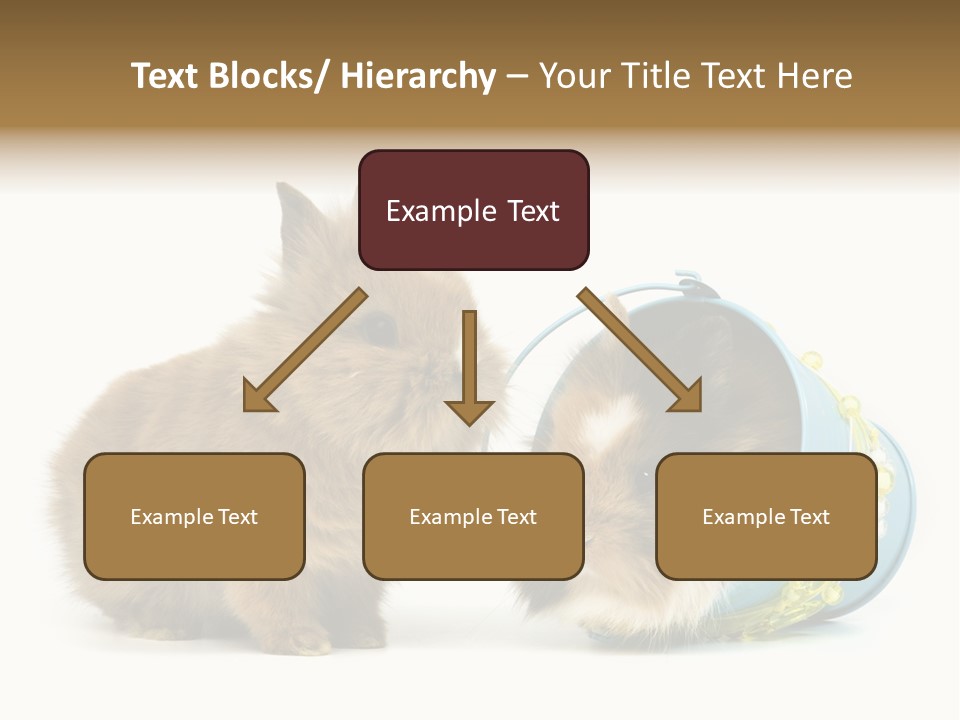 Deko Weich Osterhase PowerPoint Template