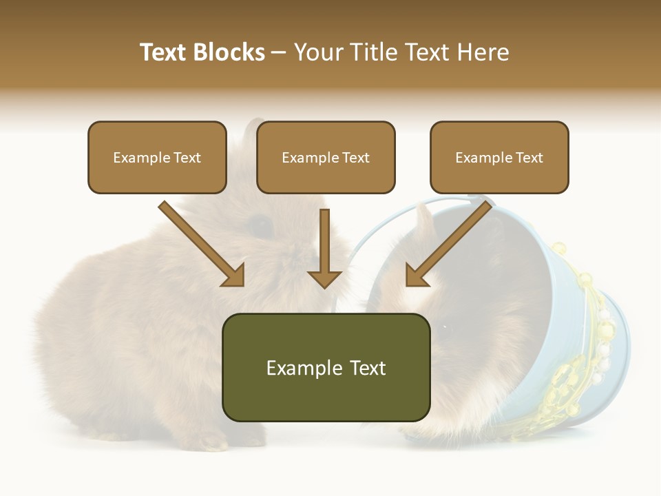 Deko Weich Osterhase PowerPoint Template