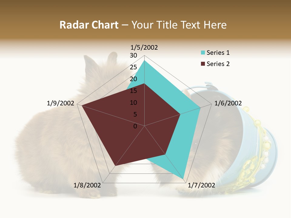 Deko Weich Osterhase PowerPoint Template
