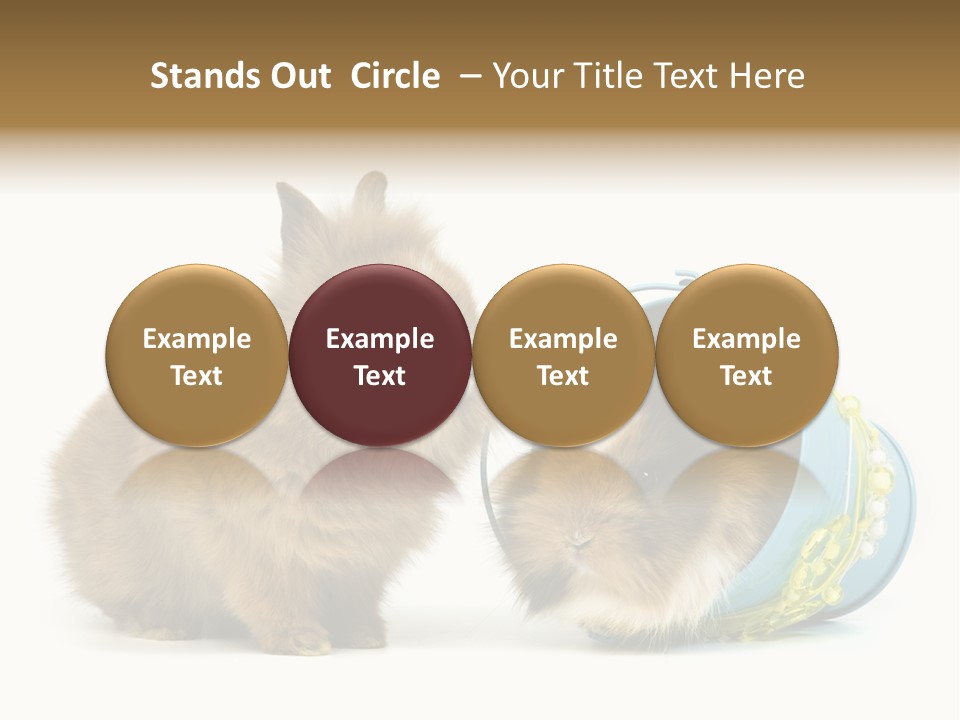 Deko Weich Osterhase PowerPoint Template