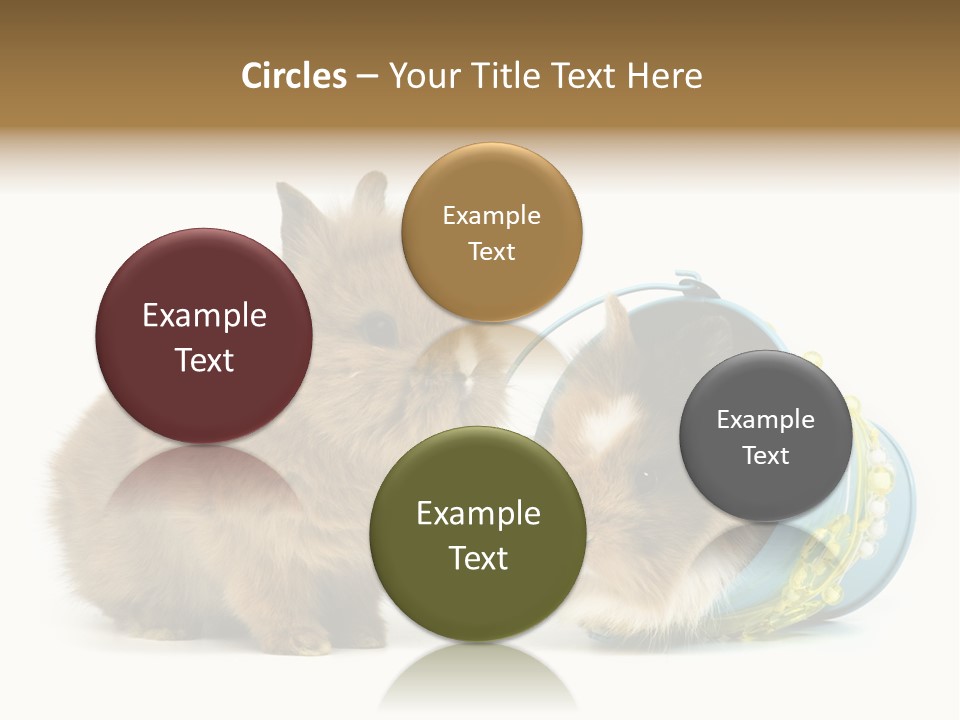 Deko Weich Osterhase PowerPoint Template