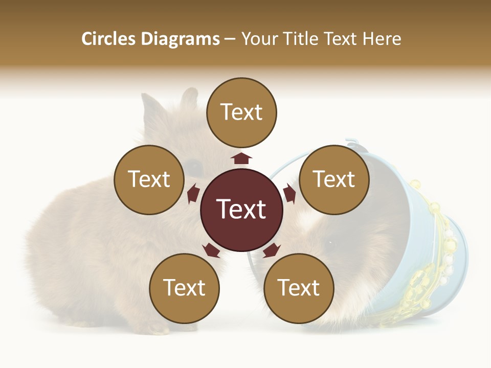 Deko Weich Osterhase PowerPoint Template