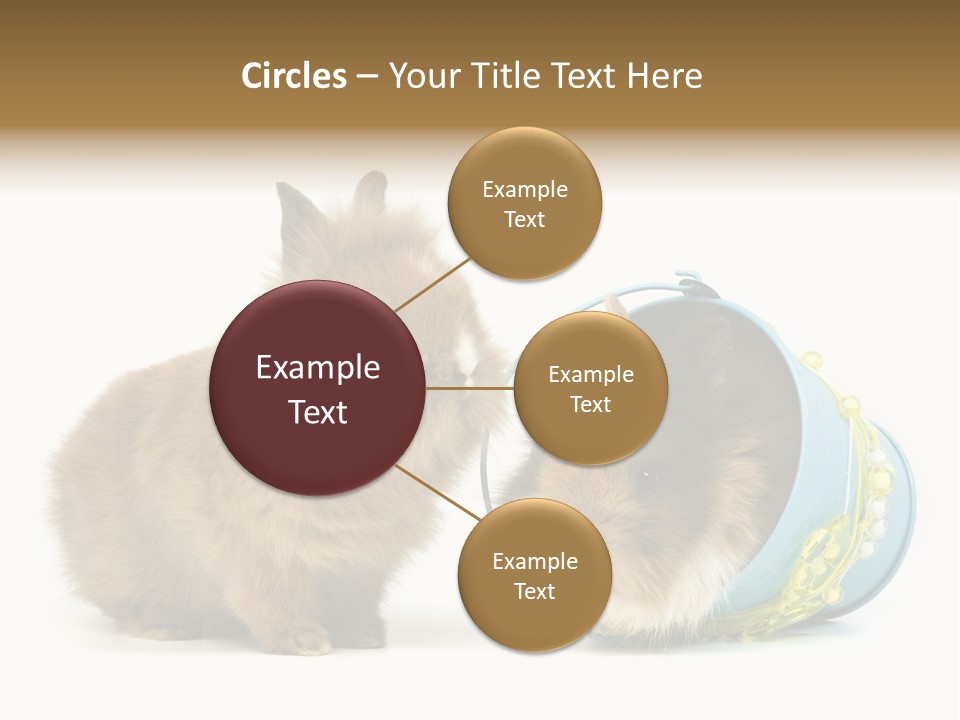 Deko Weich Osterhase PowerPoint Template