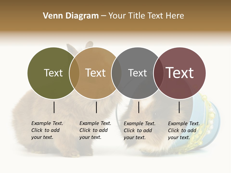 Deko Weich Osterhase PowerPoint Template