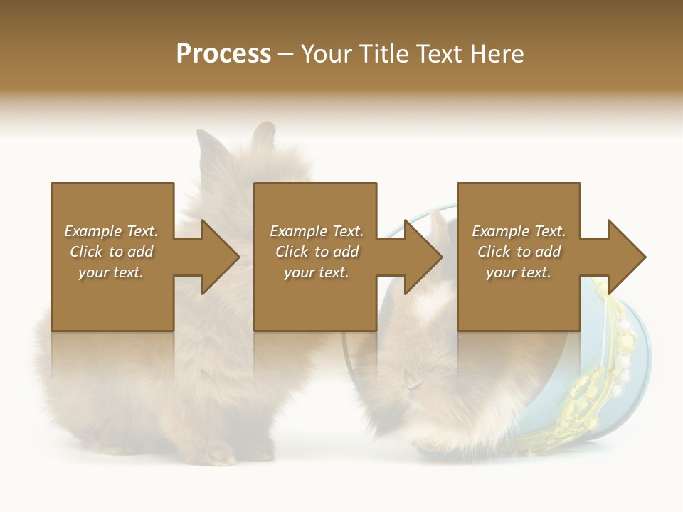 Deko Weich Osterhase PowerPoint Template