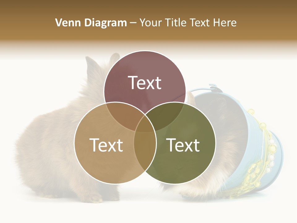 Deko Weich Osterhase PowerPoint Template