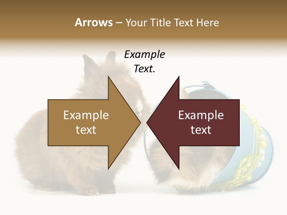 Deko Weich Osterhase PowerPoint Template