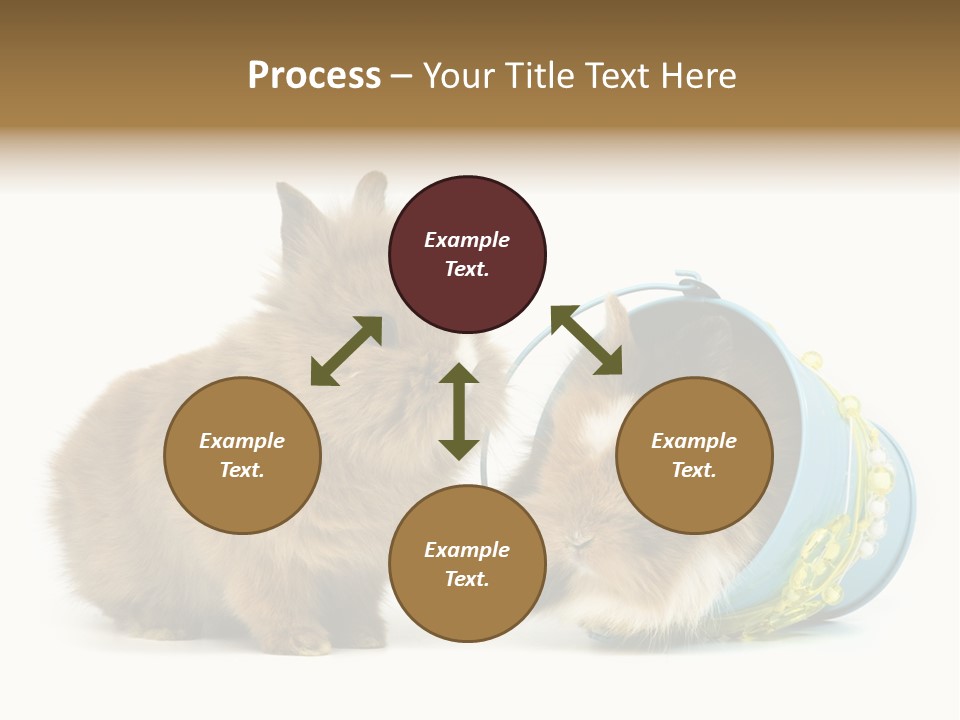 Deko Weich Osterhase PowerPoint Template