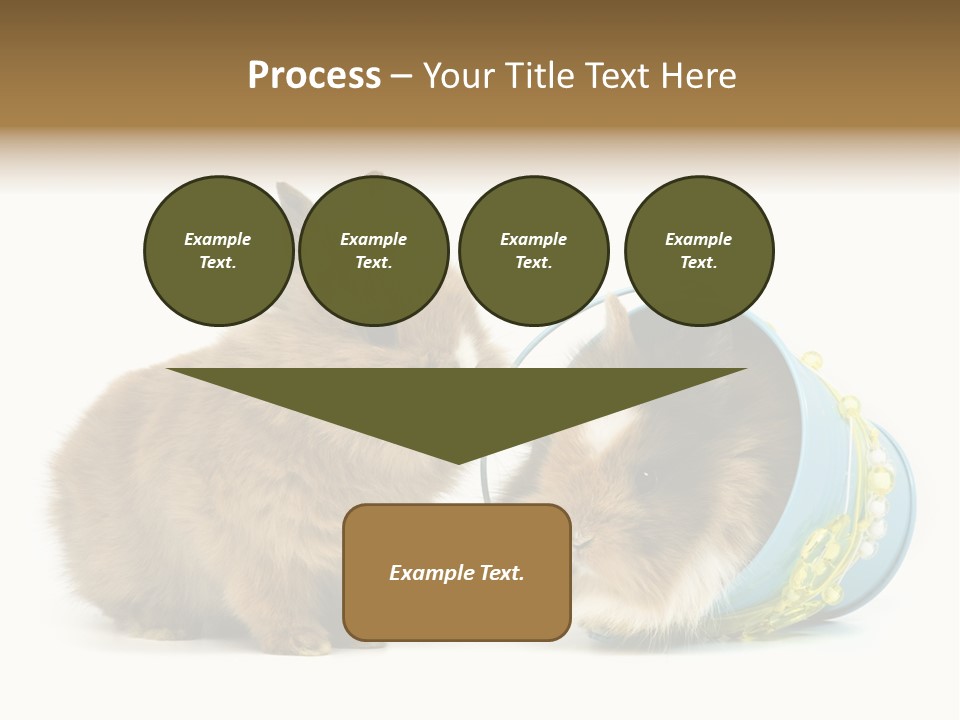 Deko Weich Osterhase PowerPoint Template