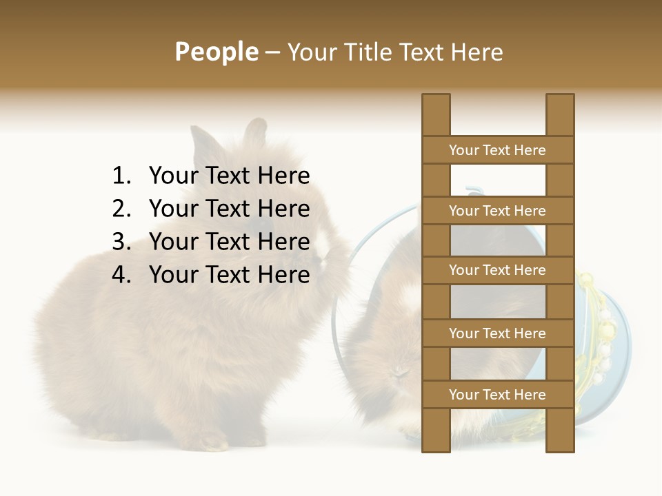 Deko Weich Osterhase PowerPoint Template