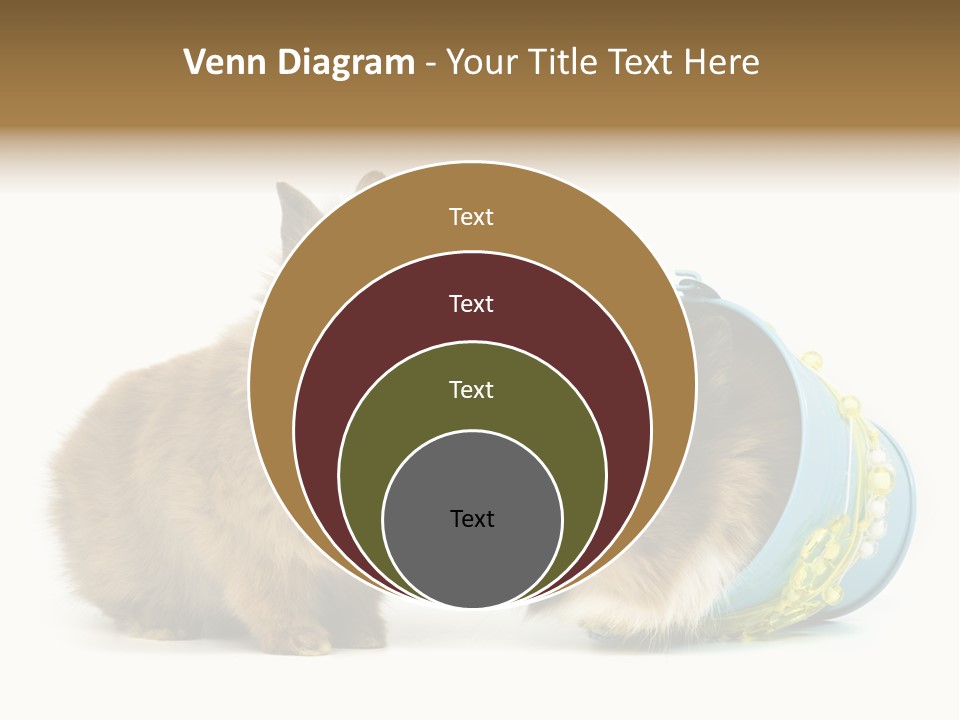 Deko Weich Osterhase PowerPoint Template