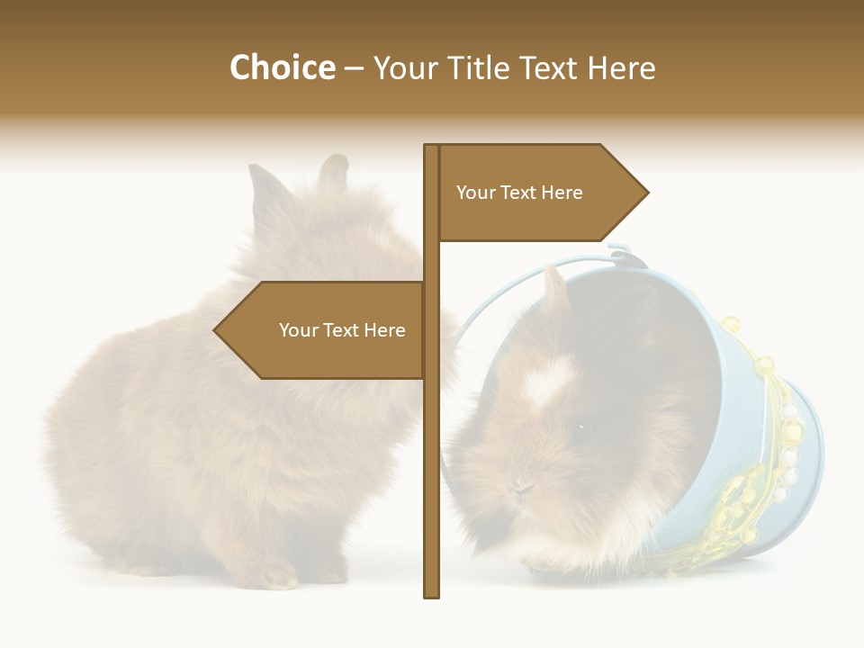 Deko Weich Osterhase PowerPoint Template