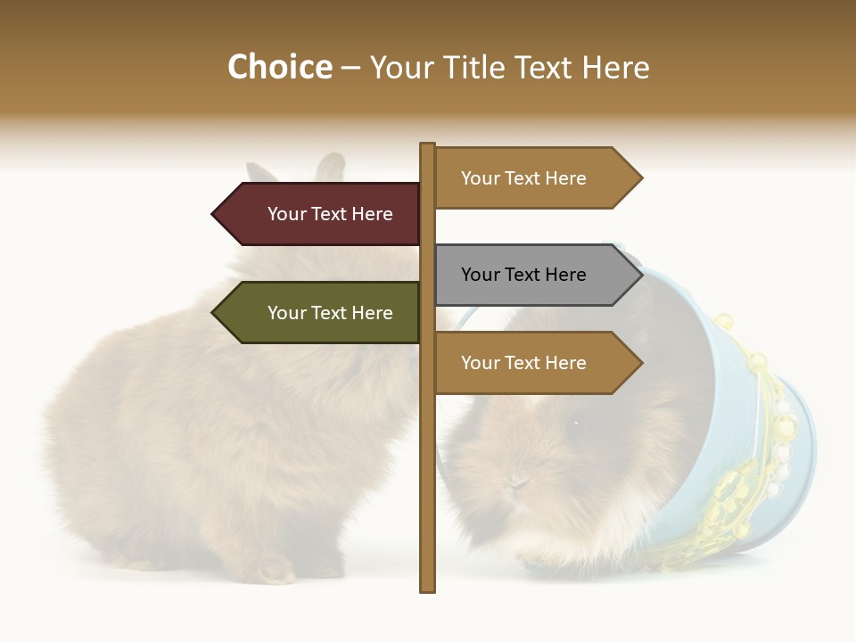 Deko Weich Osterhase PowerPoint Template