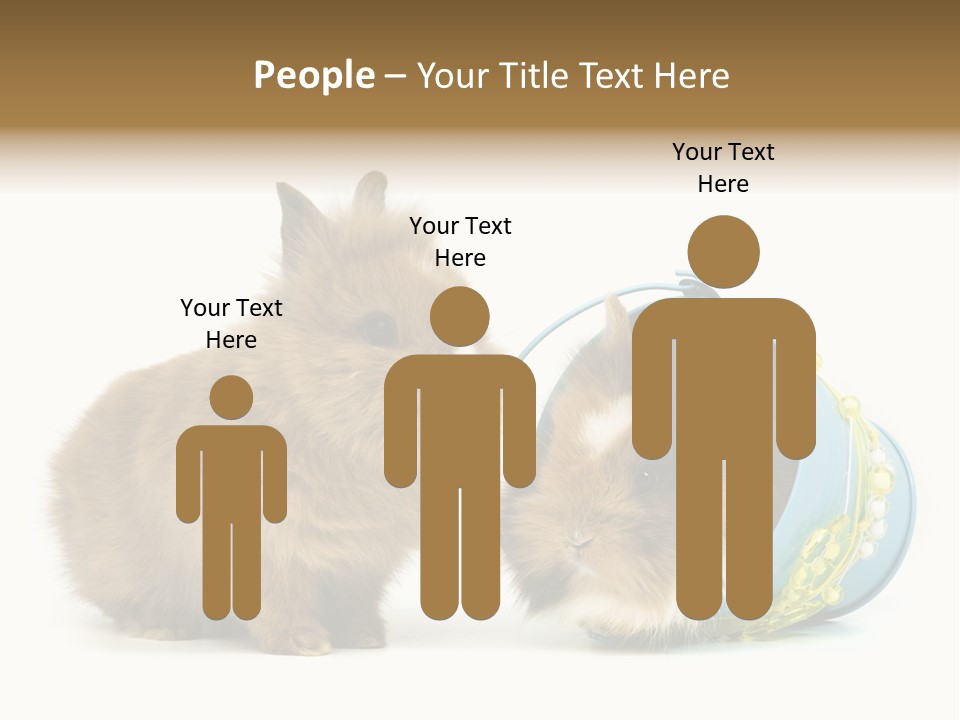 Deko Weich Osterhase PowerPoint Template