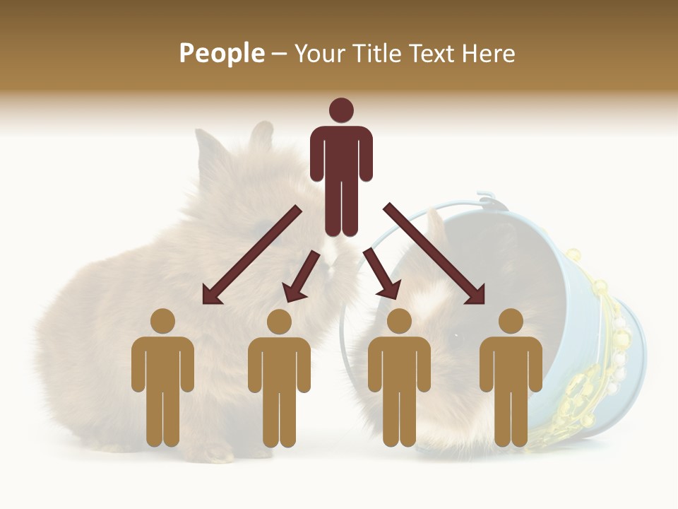 Deko Weich Osterhase PowerPoint Template