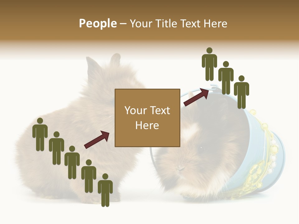 Deko Weich Osterhase PowerPoint Template