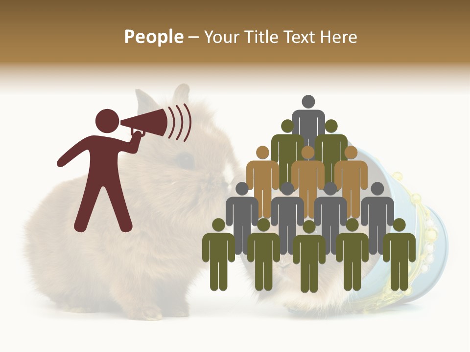 Deko Weich Osterhase PowerPoint Template