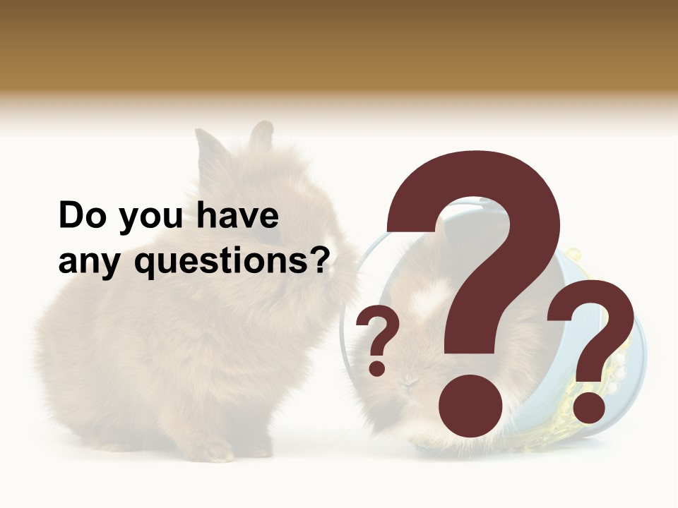 Deko Weich Osterhase PowerPoint Template