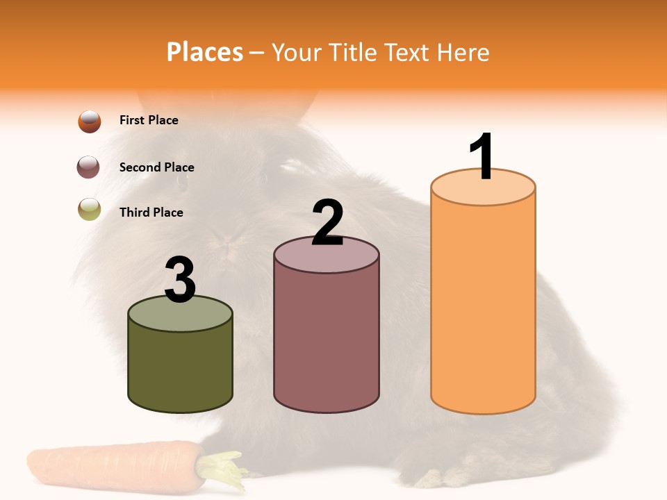 Rabbit Soft Puppy PowerPoint Template