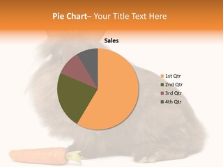 Rabbit Soft Puppy PowerPoint Template