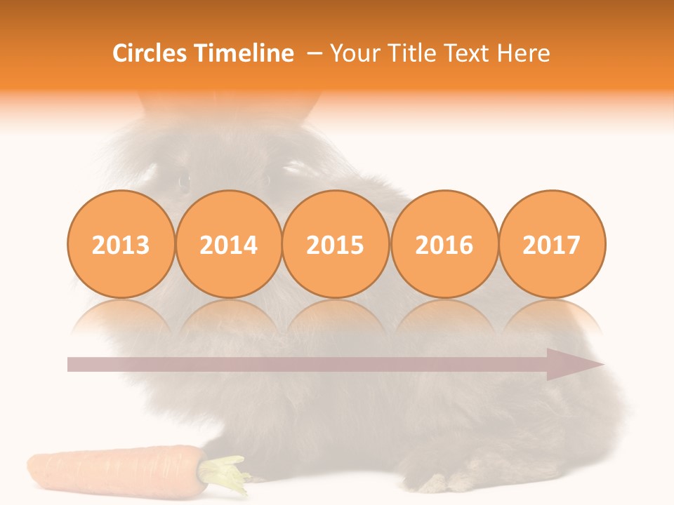 Rabbit Soft Puppy PowerPoint Template