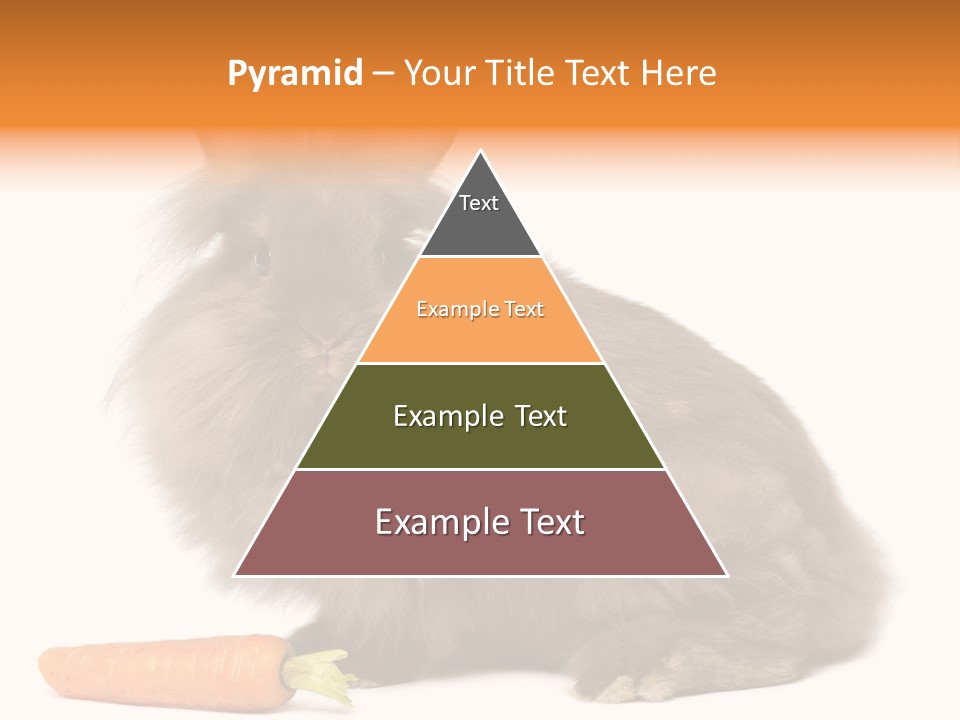 Rabbit Soft Puppy PowerPoint Template