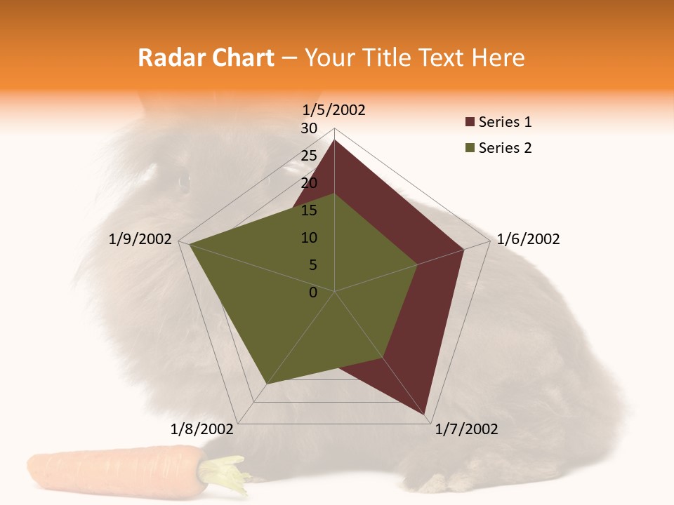 Rabbit Soft Puppy PowerPoint Template