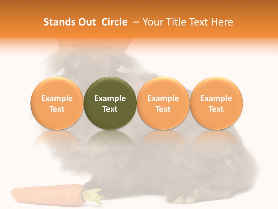 Rabbit Soft Puppy PowerPoint Template