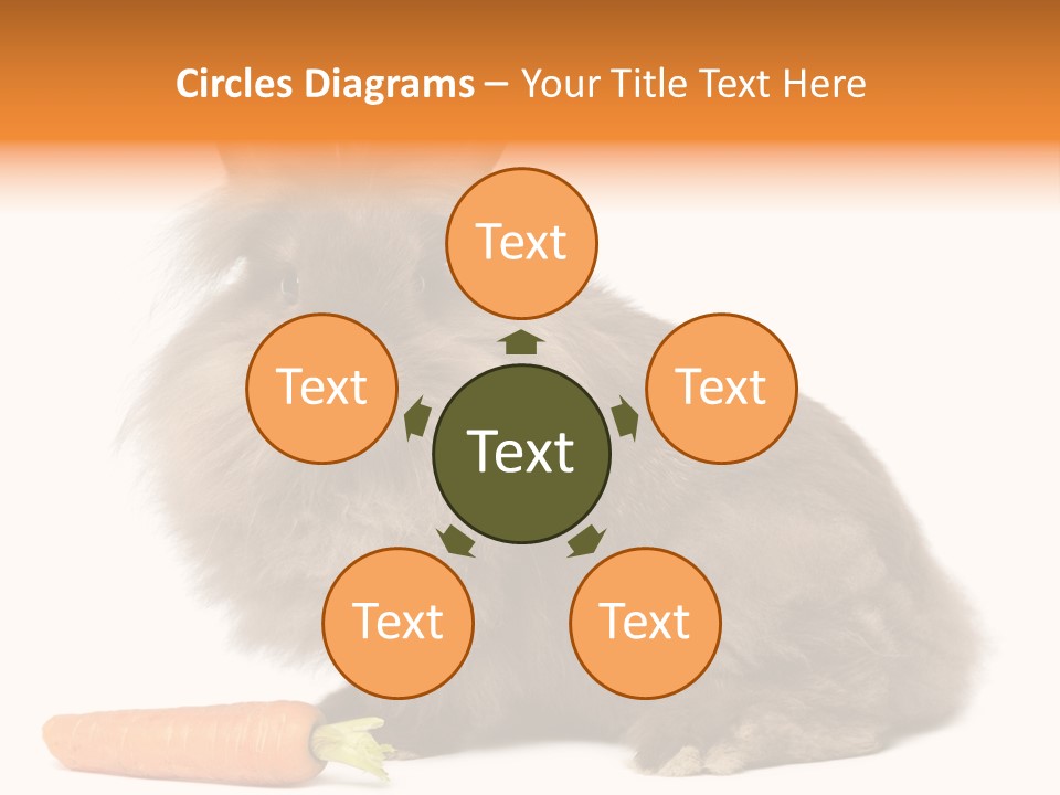 Rabbit Soft Puppy PowerPoint Template