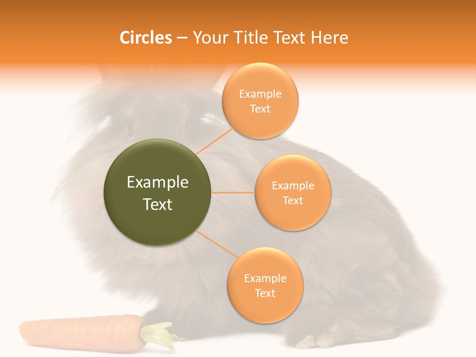 Rabbit Soft Puppy PowerPoint Template