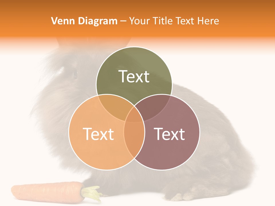 Rabbit Soft Puppy PowerPoint Template