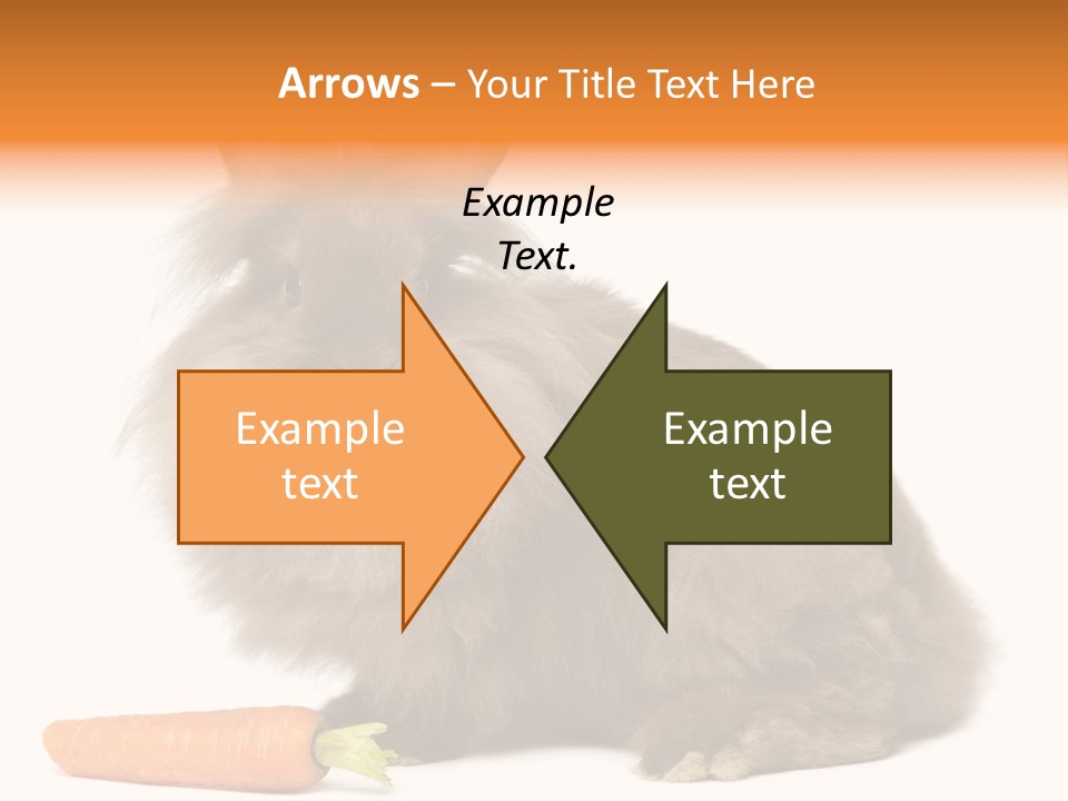 Rabbit Soft Puppy PowerPoint Template