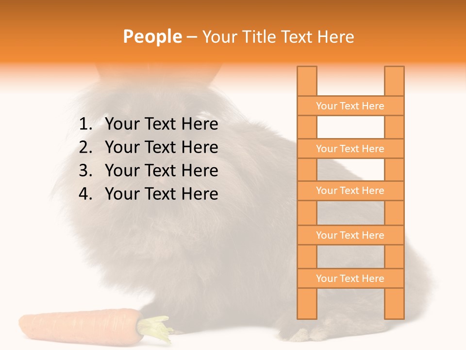 Rabbit Soft Puppy PowerPoint Template